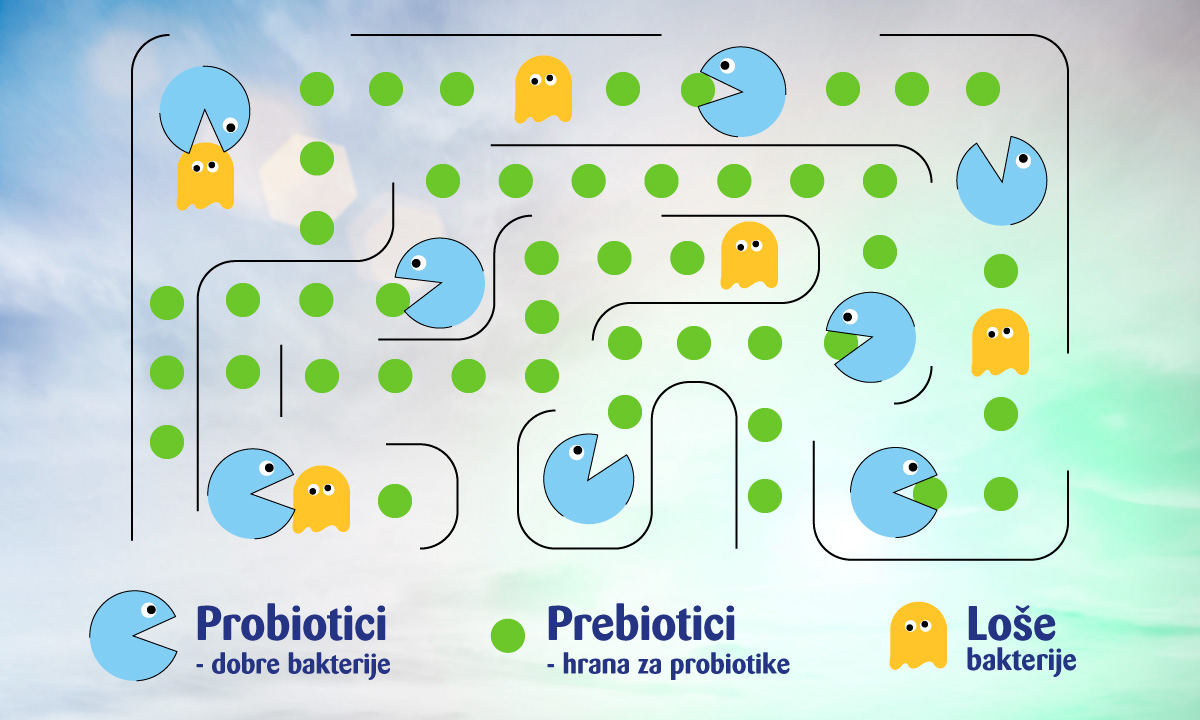 Probiotici, prebiotici i patogeni